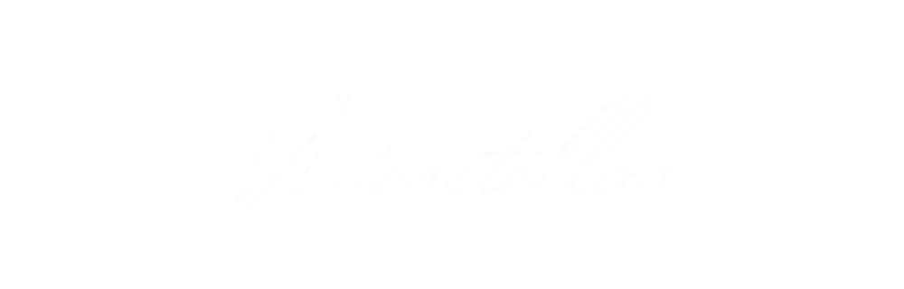 vinterstellar-logo-inverterad-scaled-1 (1)